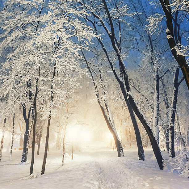 istock Footpath in a fabulous winter city park 490797768