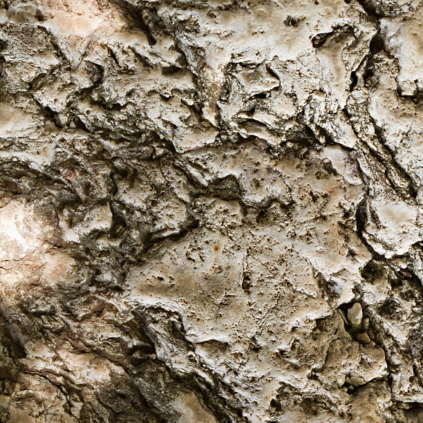 istock grunge, unusual, weathered stone background texture 490798073