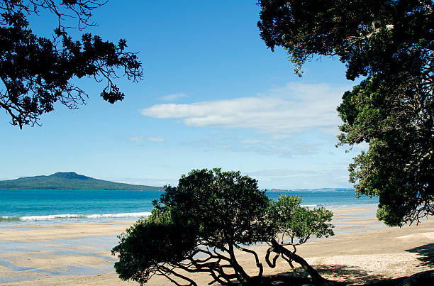 istock New Zealand 490798101