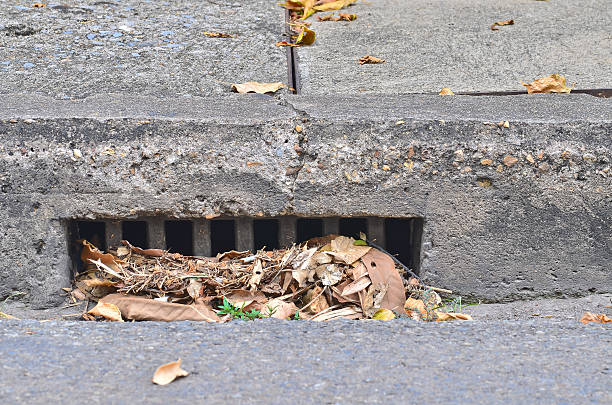 istock street storm drainb with dry leave 490798589