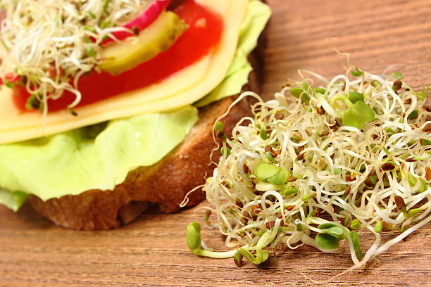 istock Vegetarian sandwich with alfalfa and radish sprouts 490798598