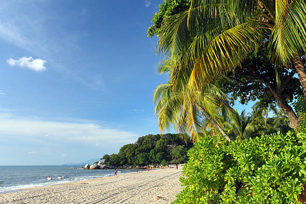 istock Sandy beach in Batu Ferringhi, Penang Island, Malaysia 490798624
