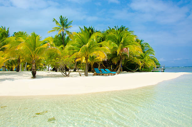 istock Paradise Beach on beautiful island 490799065