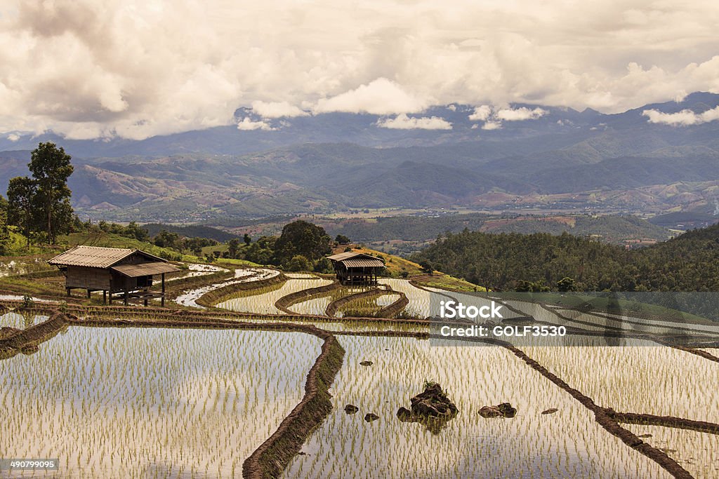 Rice terraces on the mountain. Irrigation Equipment Stock Photo