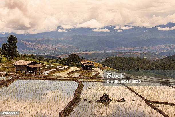 Rice Terraces On The Mountain Stock Photo - Download Image Now - Irrigation Equipment, District, Longsheng