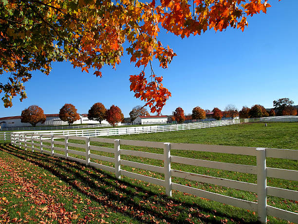 istock rural autumn landscape 490799696