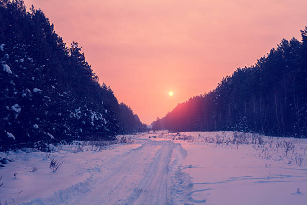 istock Sunrise over snowy road in the forest 490800810