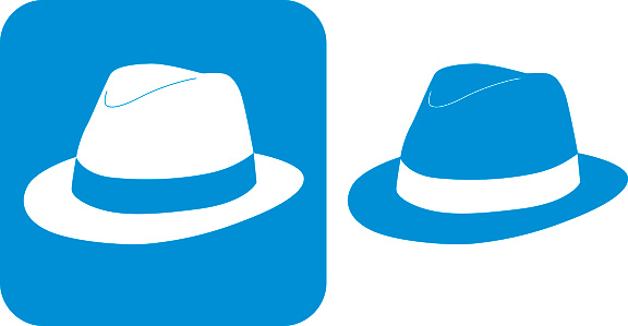 Vector illustration of two blue hat icons.