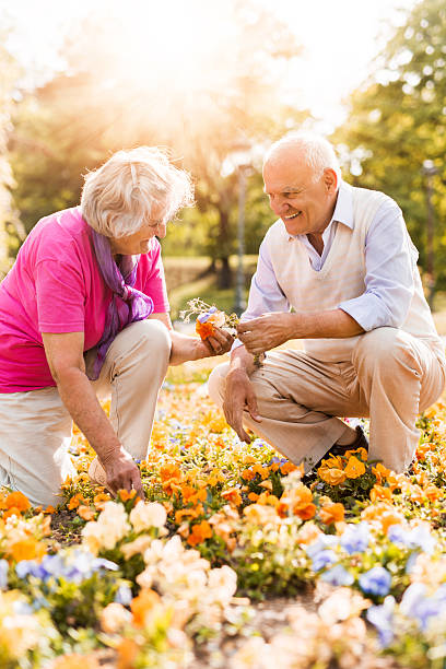 Happy senior couple working together in a garden.