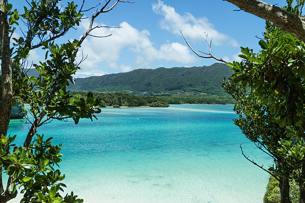 istock Clear tropical lagoon water from jungle, Okinawa, Japan 490802992