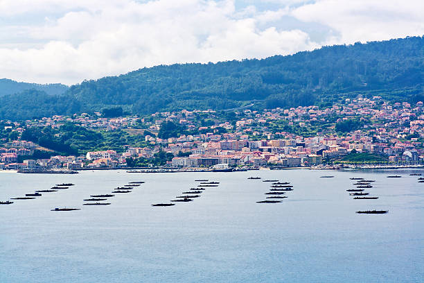 istock Mussel rafts on Vigo Estuary 490813182