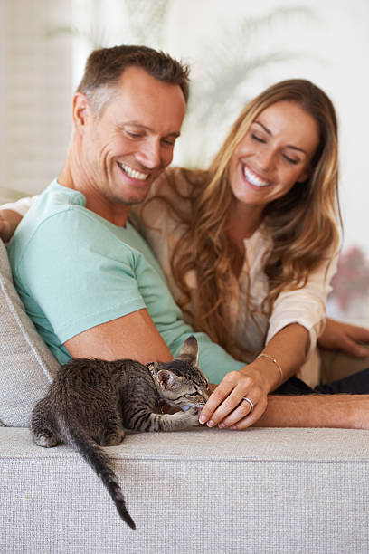 istock Enjoying a relaxed day together 490815710
