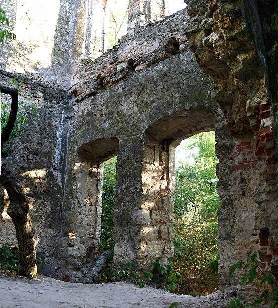 istock The wall of the destroyed building 490816246