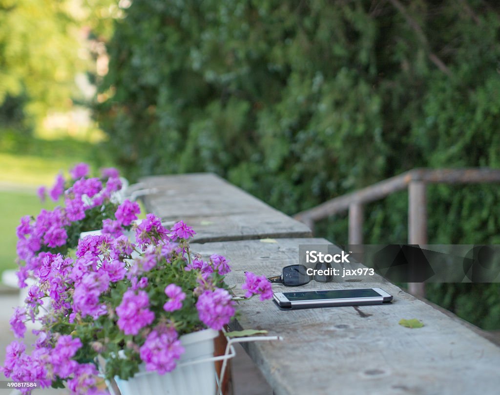 tablet on the bench white tablet and black sunglasses on the wooden bench 2015 Stock Photo