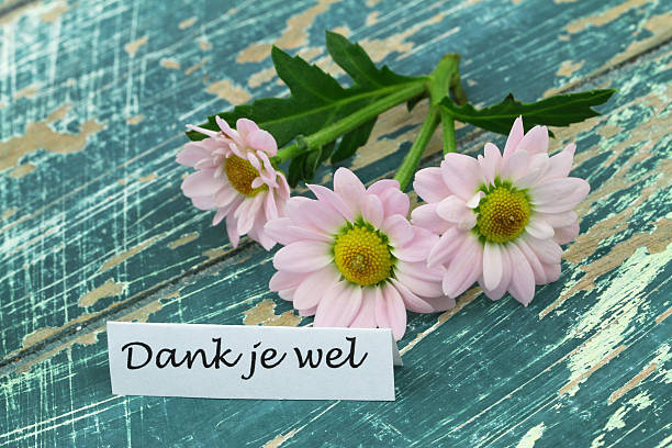 istock Dank je wel (thank you in Dutch) with pink daisies 490818752