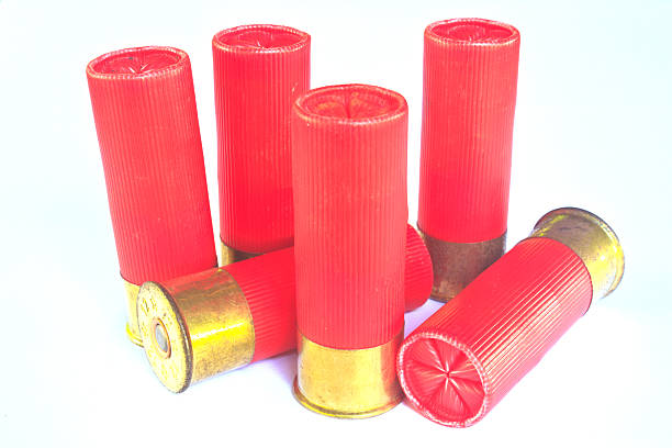istock cartridges for shotgun 12 caliber 490819969