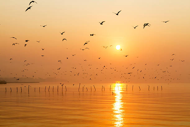 istock Beautifu golden sunrise 490820846