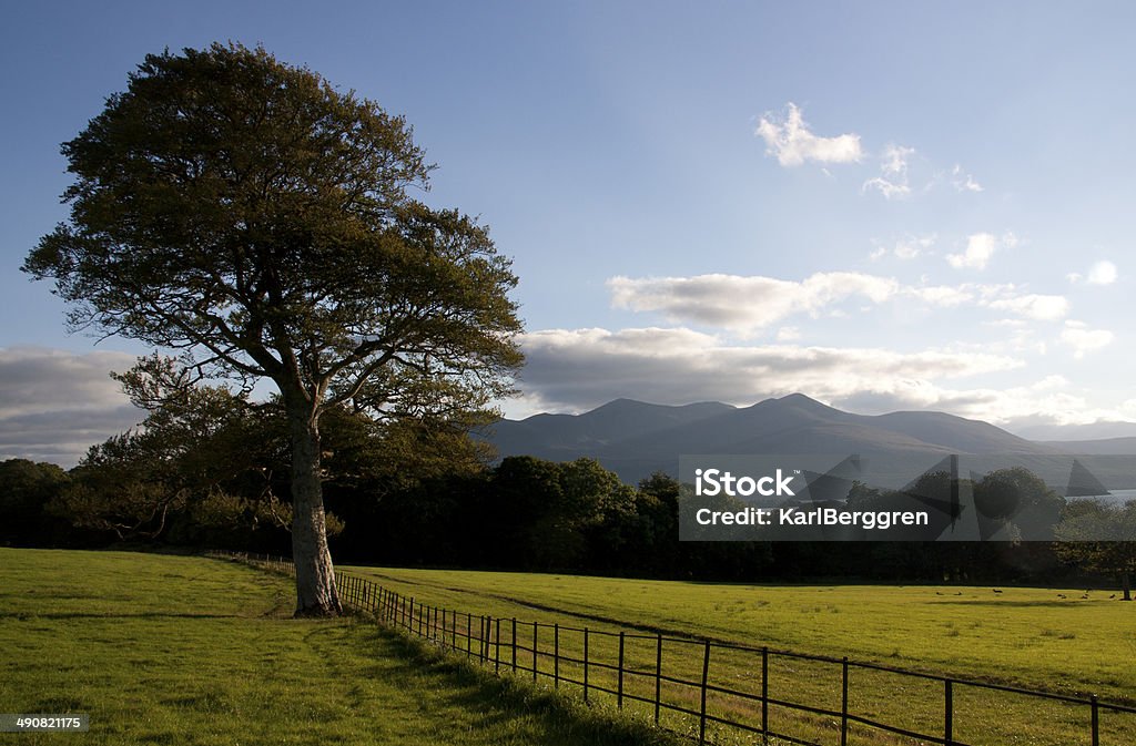 Parco Nazionale di Killarney - Foto stock royalty-free di Acqua