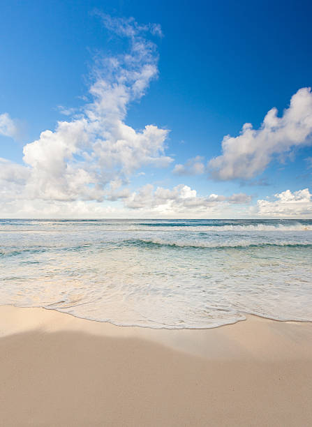 istock Beautiful Caribbean beach, Cancun, Mexico 490821423