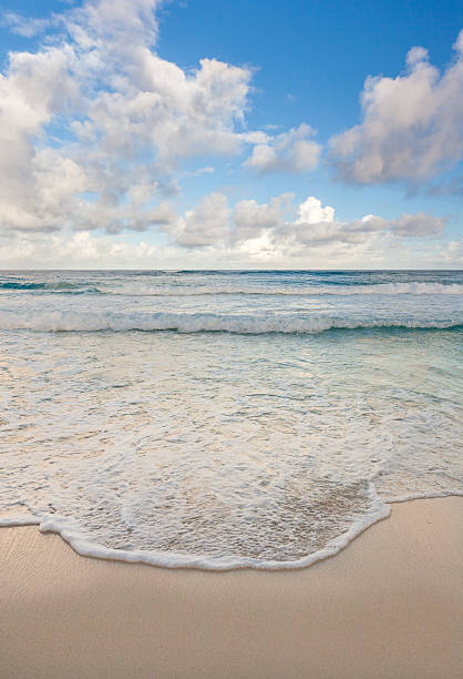 istock Beautiful Caribbean beach, Cancun, Mexico 490821425