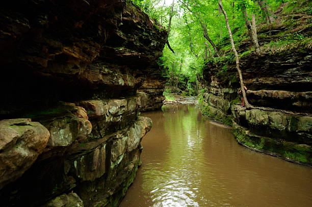 istock Pewit's Nest, Baraboo Wisconsin 490823046