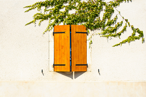 Stock photo of ajar wooden dark yellow shutters during a very sunny day. There are some vine on the top of the window on a white facade.