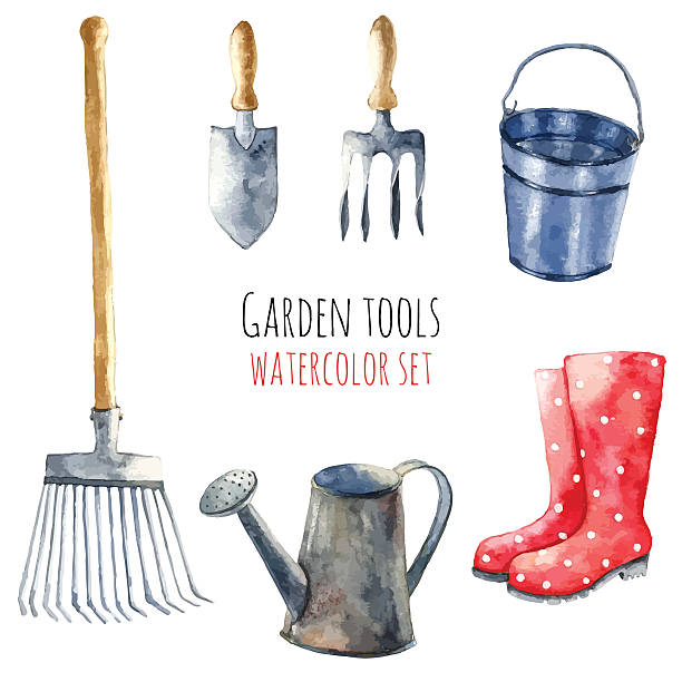 ilustraciones, imágenes clip art, dibujos animados e iconos de stock de acuarela herramientas de jardín. - gardening equipment trowel gardening fork isolated