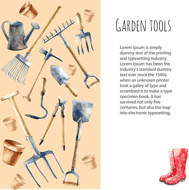 aquarell garten-tools. - gardening equipment trowel gardening fork isolated stock-grafiken, -clipart, -cartoons und -symbole