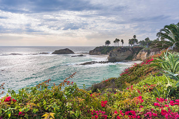 wunderschöner park in laguna beach - orange county california beach stock-fotos und bilder