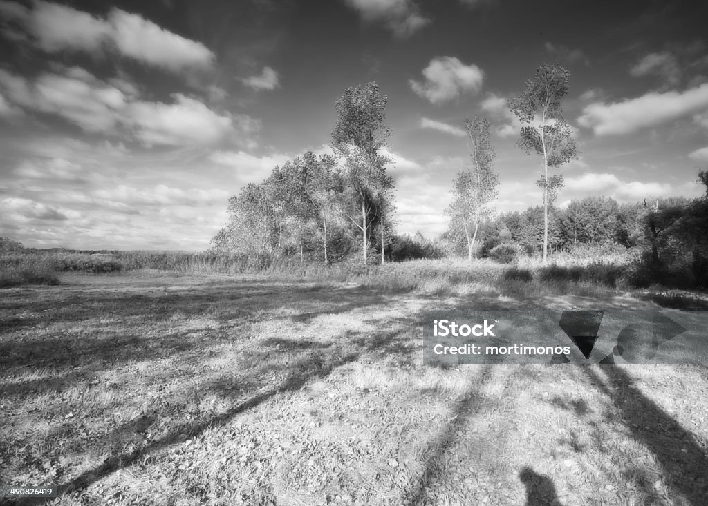 Parque das Pateira de Fermentelos - Royalty-free Ao Ar Livre Foto de stock