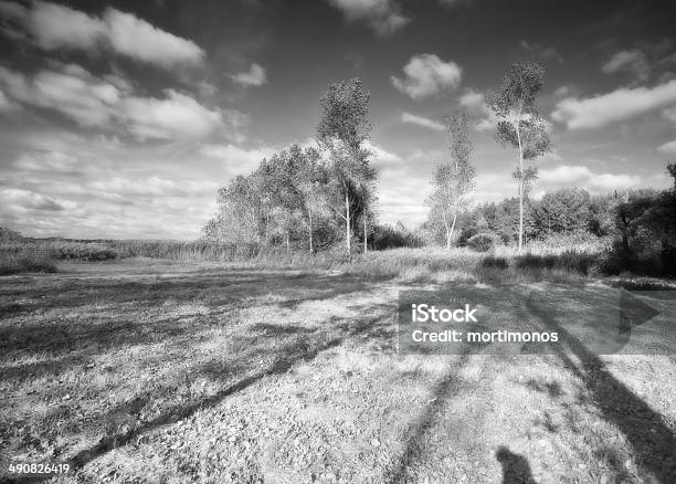 Parque Das Pateira De Fermentelos - Fotografias de stock e mais imagens de Ao Ar Livre - Ao Ar Livre, Beleza, Criatividade