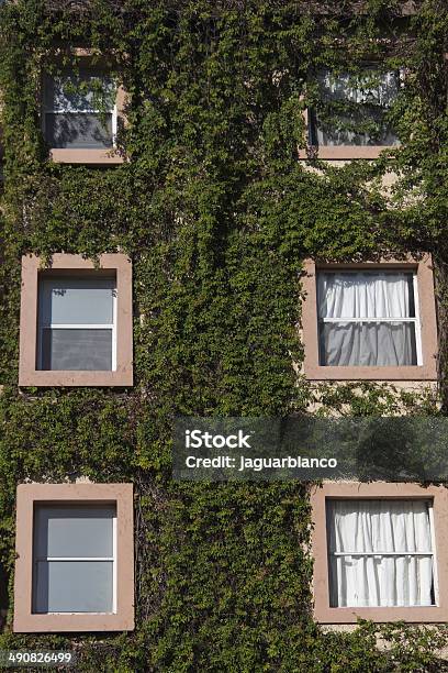 Windows Rodeada Por Plantas - Fotografias de stock e mais imagens de Ao Ar Livre - Ao Ar Livre, Apartamento, Botânica - Ciência de plantas