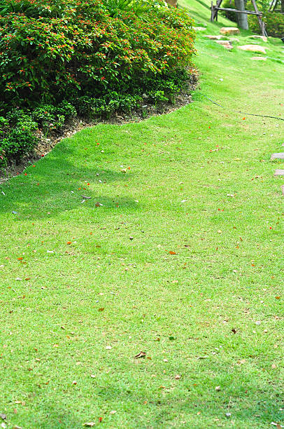 istock part of garden decorete 490847039