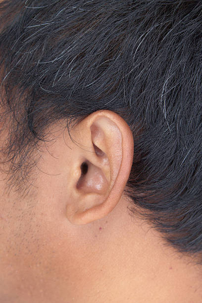 istock Closeup of a asian human ear 490847408