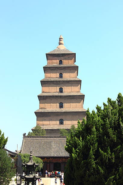 xi'an gran pagoda del ganso salvaje - xian great wild goose pagoda pagoda china fotografías e imágenes de stock