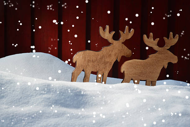 istock Christmas Card On Snow, Moose Coyple  And Copy Space, Snowflakes 490847680