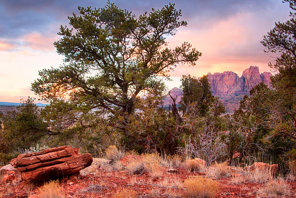 istock Short Creek Zion HDR 490847767