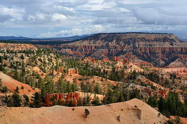 istock A landscape shot Bryce Canyon National Park on a sunny day. 490848069