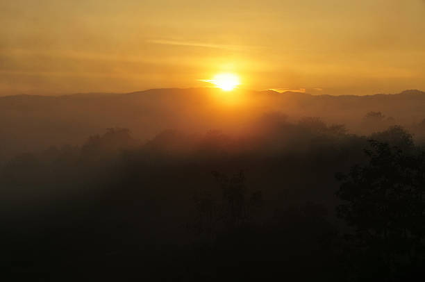 istock The first rays of the sun 490848129