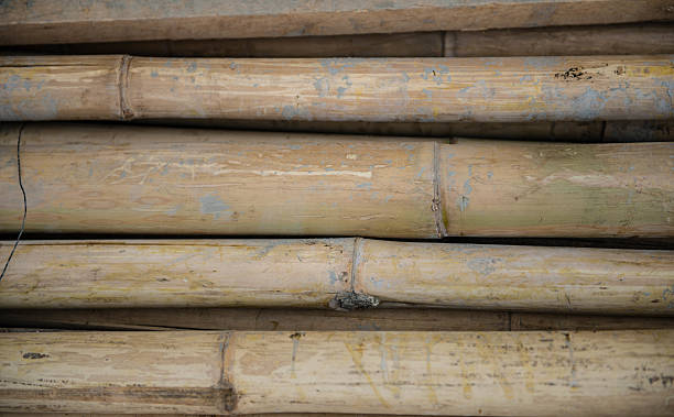 pile of old bamboo stock photo