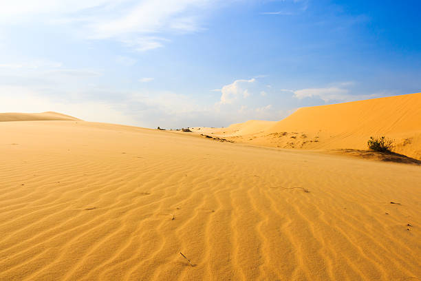 istock Wave on desert at Mui Ne, South Vietnam 490849307