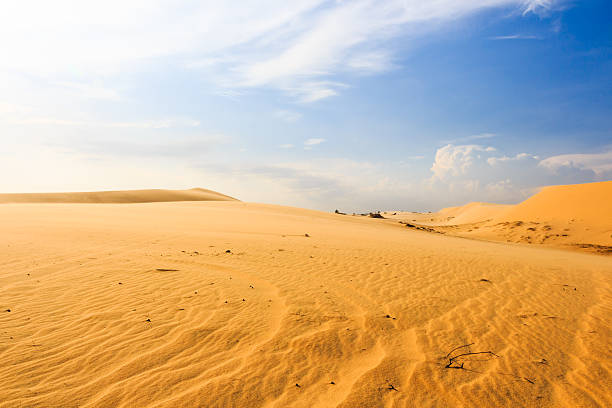 istock Wave on desert at Mui Ne, South Vietnam 490849309