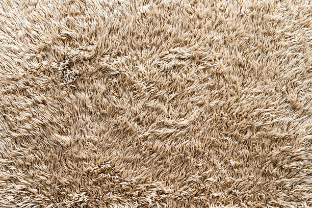 Fluffy cotton rug with long hair in beige, texture