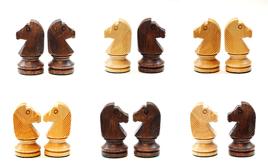 sachyChess horses in various position - collage of six pictures. 