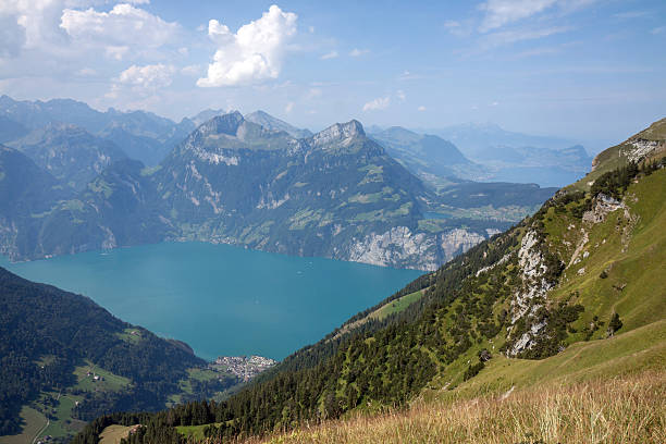 istock View from above on the Urner See in Switzerland 490852006
