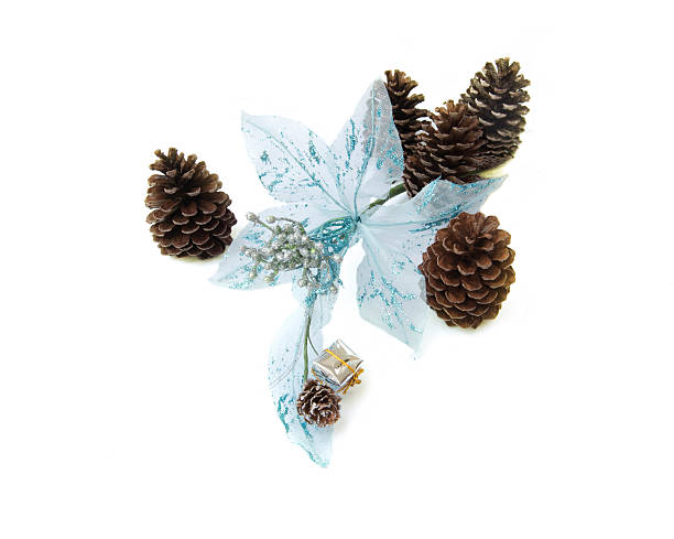 blue flower fabric with pine cones stock photo