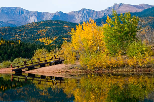 jesień aspen w crystal creek zbiornik pikes peak - 14000 foot peak zdjęcia i obrazy z banku zdjęć