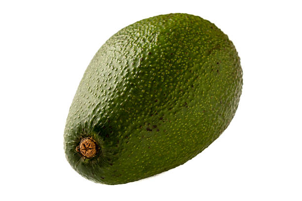 Avocado stock photo