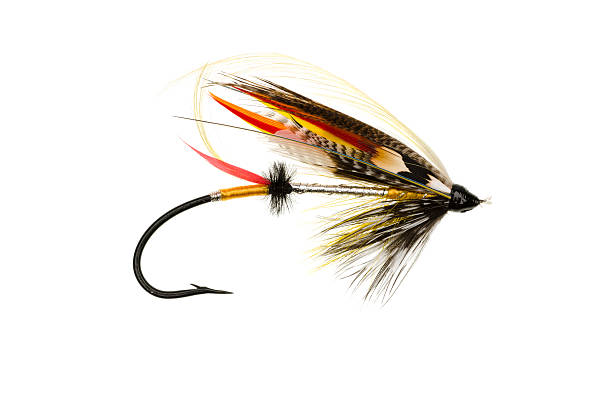 istock Dusty Miller Salmon Fly 490857980