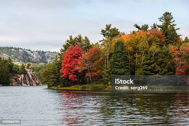 Multicoloured Fall Trees At A Lake Edge Of Killarney Stock Photo - Download Image Now